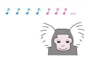 Auditory Oddball